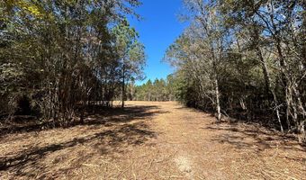 20 Ac Coot Adams Rd, Ashford, AL 36312