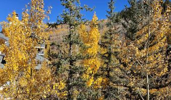 210 Offerson Rd R 204, Week 3, Beaver Creek, CO 81620