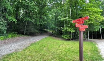 00 Collett Woods Trl 4-20, Andrews, NC 28901