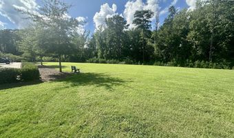 822 Richmont Grove Ln, Apex, NC 27523