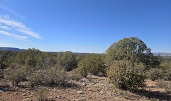 376 D Haywire, Ash Fork, AZ 86320
