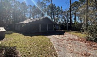 289 Arthur Newbern Rd, Adel, GA 31620