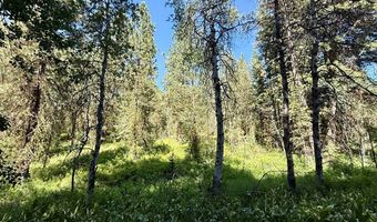 83 Panorama Dr 83, Cascade, ID 83611