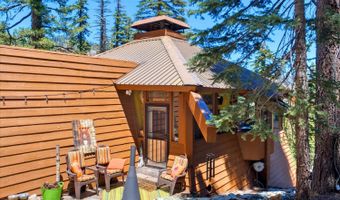 309 Snowshoe Rd, Bear Valley, CA 95223