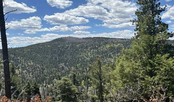 Lots 16 Lot17 Palo Flechado Ridge Road, Angel Fire, NM 87710