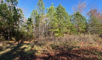 Chestnut Grove Road, Appomattox, VA 24522