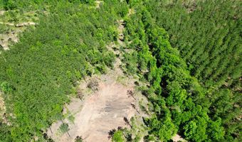 0 AL SR 223, Banks, AL 36005