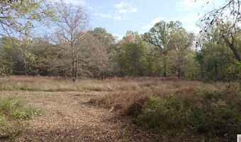 Holloway Landing Road, Barlow, KY 42024