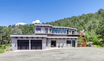 21249 Two Rivers Rd, Basalt, CO 81621