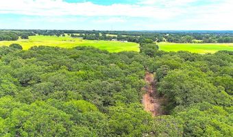 Tbd Dude Lane, Millsap, TX 76066