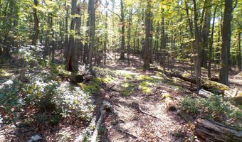 BIG HORN TRAIL E-15, Augusta, WV 26704