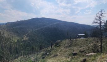 693 Cougar Dr, Bellvue, CO 80512
