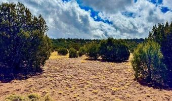 Tbd Co Rd 8256 Lots A & B 10 Acres, Concho, AZ 85924