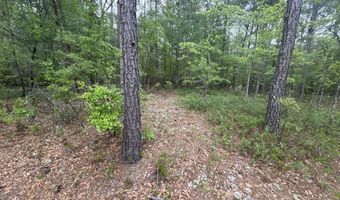 5 6 7 53 Off Highway Lot 5 6 & 7, Atkinson, NC 28421