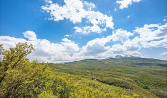 3714 Bear Ridge Rd, Basalt, CO 81621