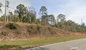 Co Rd 97, Abbeville, AL 36310