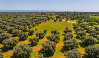 16770 Scout Ave, Anderson, CA 96007
