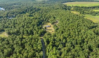 712 Blackberry Rd, Baconton, GA 31716