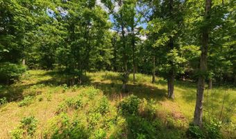 County Road 200, Alton, MO 65606
