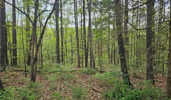 TBD Belvoir LN, Bella Vista, AR 72715