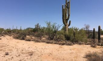 6445 E Wildcat Dr, Cave Creek, AZ 85331