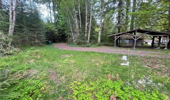 33823 State Route 706 4, Ashford, WA 98304