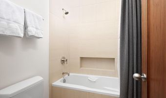 602 W Hallam St, Aspen, CO 81611