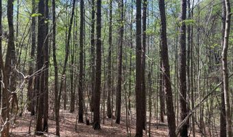 274 CR 3301, Booneville, MS 38829