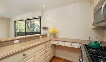 400 W Hopkins Ave 5, Aspen, CO 81611