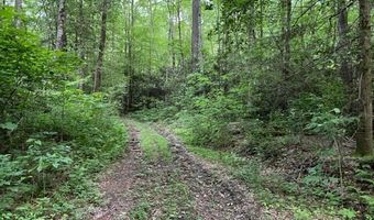 000 Chestnut Oaks, Andrews, NC 28901