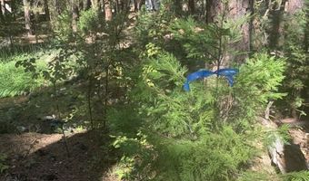 Edgewater Way lot 84, Adin, CA 96006