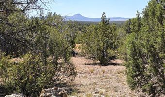 3200 W Poppy Rd, Ash Fork, AZ 86320