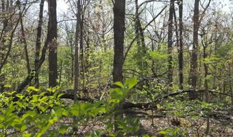 000 62 S Plainview Rd, Anderson, MO 64831
