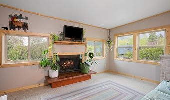 175 Ironclad View Rd, Allenspark, CO 80510