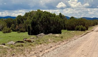 125 Co Rd 8051, Concho, AZ 85924