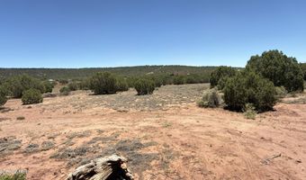 38 County Road 8283, Concho, AZ 85924