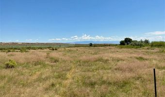 Cloud Peak Road, Byron, WY 82412