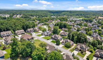 4217 Cripple Bush Ct, Apison, TN 37302