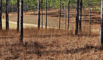104 Dedies Way, Alexander City, AL 35010