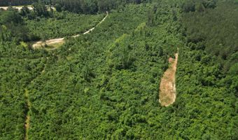 Co Rd 2337, Bay Springs, MS 39422