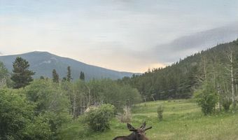 175 Ironclad View Rd, Allenspark, CO 80510