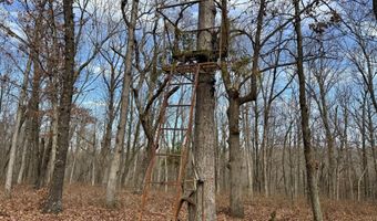 Farm Rd 1187 Lc, Ash Grove, MO 65604