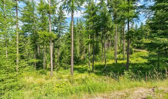 905 N Cedar View Dr, Blanchard, ID 83804