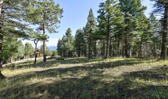 Vail Overlook S lot 324, Angel Fire, NM 87710