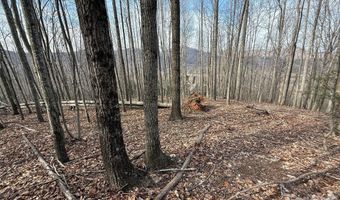 1029 Chippawa Dr 67, Arden, NC 28704