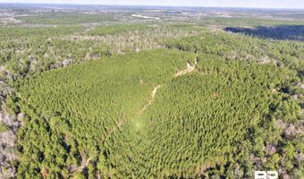 Jones Lane, Bay Minette, AL 36507