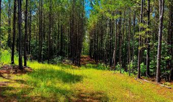 Arthur Drive, Brookhaven, MS 39601