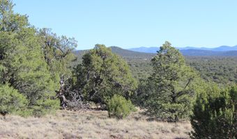 6 County Road 8052, Concho, AZ 85924