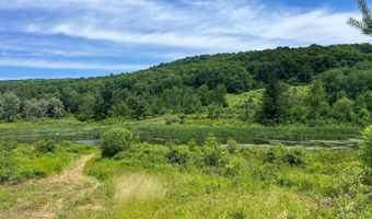 0 Woodland Hills Rd, Andes, NY 13731
