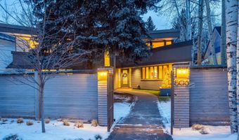 506 W Hallam St, Aspen, CO 81611